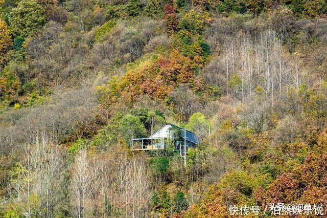 藏在秦岭的陕南小城，常住人口只有7000，街上仅有一辆出租车