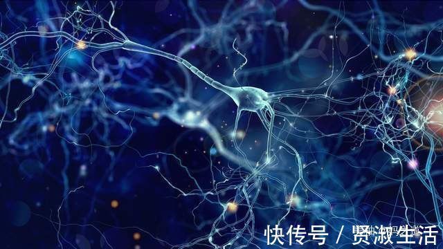 成绩|培养孩子记忆力，最好赶在六岁前，若能通过三关，未来成绩差不了