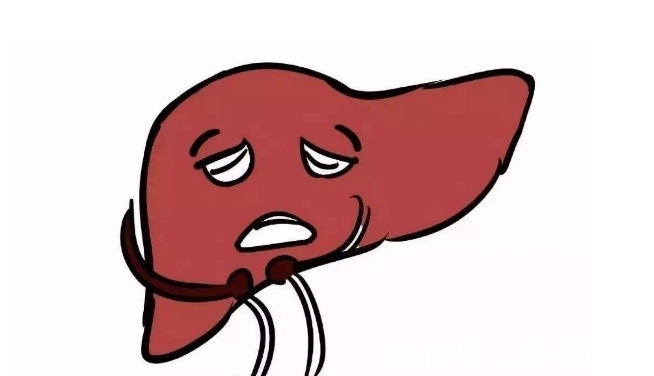 灰灰菜|农村1类野菜,猪吃人也吃,养肝明目,肝癌、肝硬化找不上门