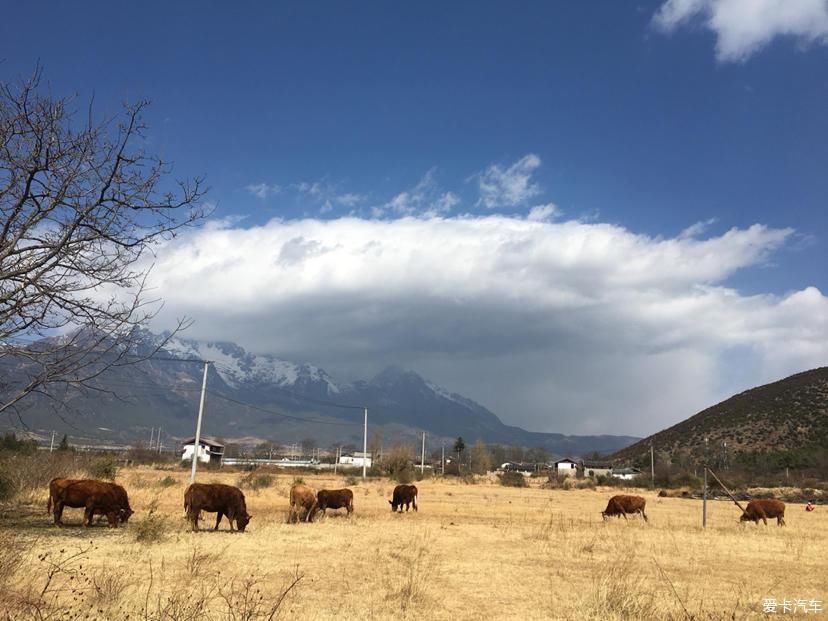 一个有故事的地方，开启徒步玉龙雪山环游泸沽湖之旅|丽江 | 古镇