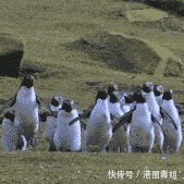 |10个幽默小笑话,开心一笑