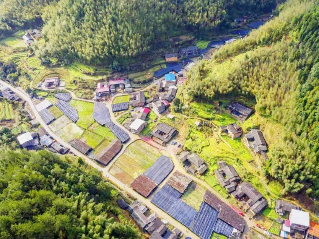 乡村振兴开新局 福建漳平聚焦焦兴美富