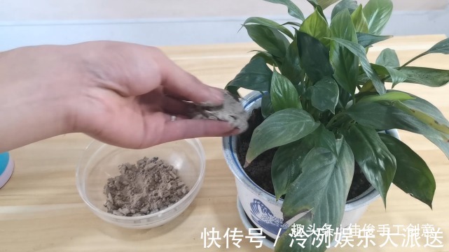 蚊香灰别再倒掉了，收集起来省钱又实用，进来学学吧！