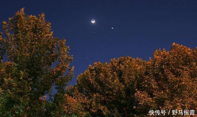 美景|朱熹最经典的一首诗,通篇美得令人惊艳,写出了不一样的秋色美景