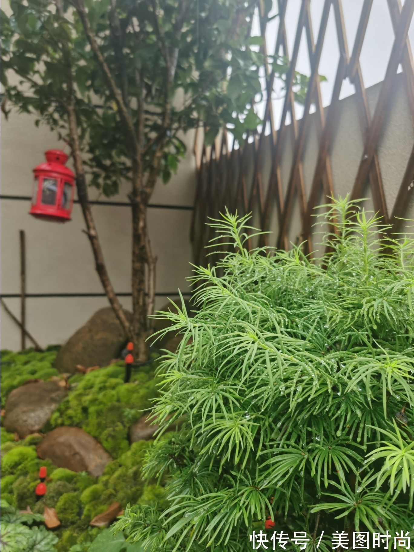 露台|买了小洋房顶层，把16㎡露台改造成“日式小花园”，结果令人惊喜