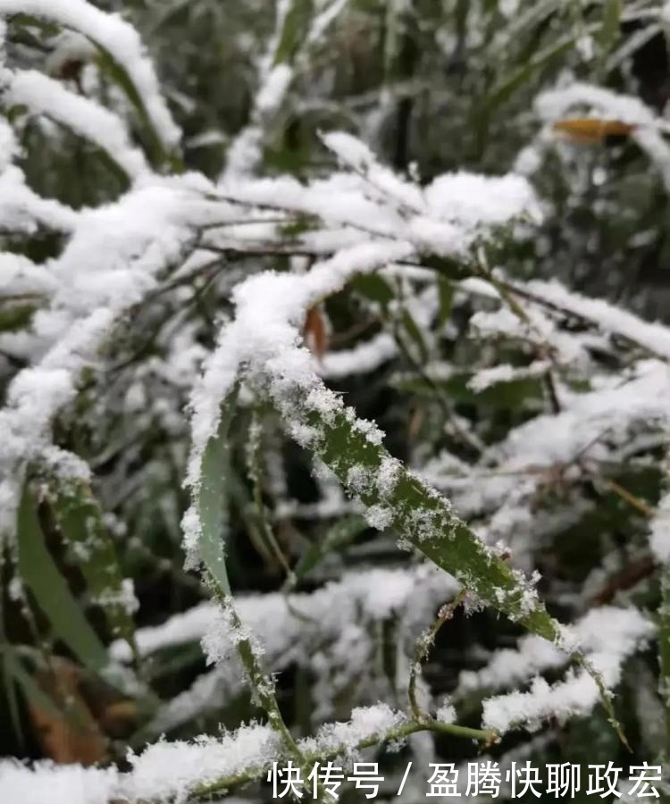 实在|贵州旅游｜贵州下雪啦！这些雪景图实在太美了！你那边下雪没？