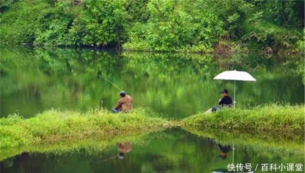 野钓选钓位最好找鱼道，这些地形都是鱼道，选对位置不愁钓不到鱼