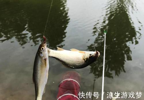 冬钓草鱼,控制好这几点因素,渔获照样不会差