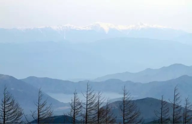 弘一法师|弘一法师：人和人不要靠得太近