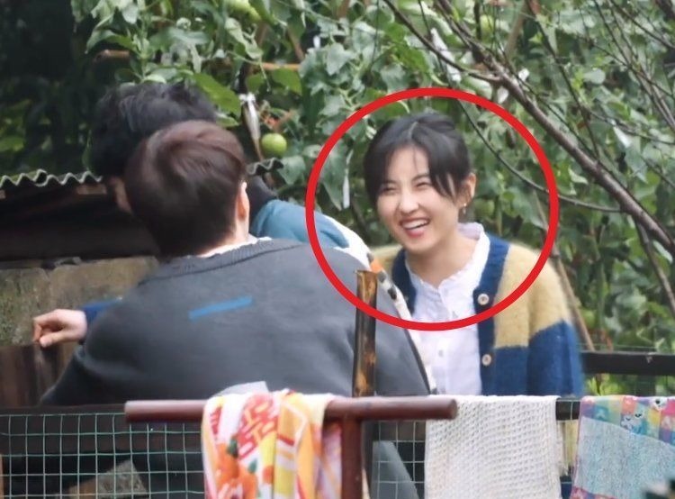 張藝興去雞窩掏雞蛋，看到張子楓的舉動，變開朗了還變調(diào)皮了