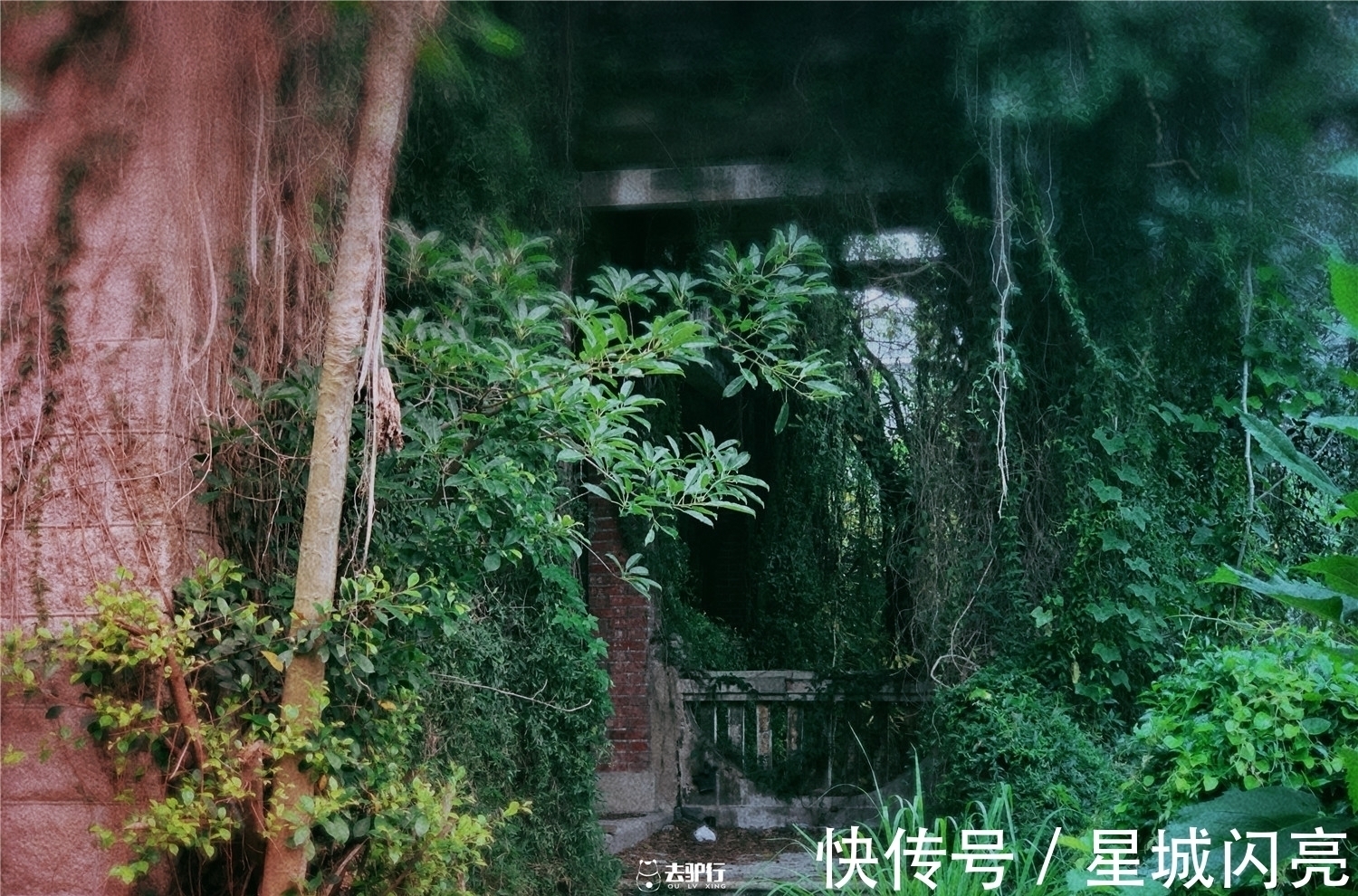 古宅|废弃的鼓浪屿豪宅:原主人至今下落不明,价值千万却成危房