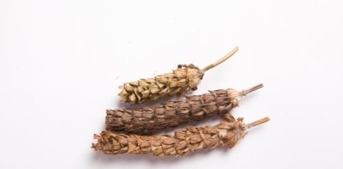 海藻|90%的结节都跟痰有关,一个中成药,散痰湿,消结节