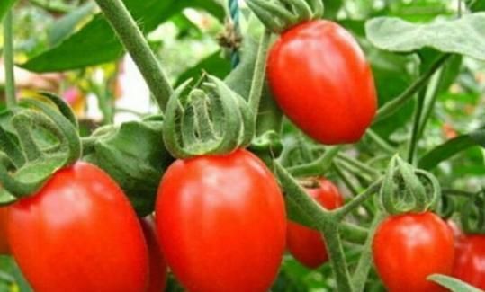 眼睛不好怎么办?医生提示:4种水果经常吃,保护眼睛效果好!