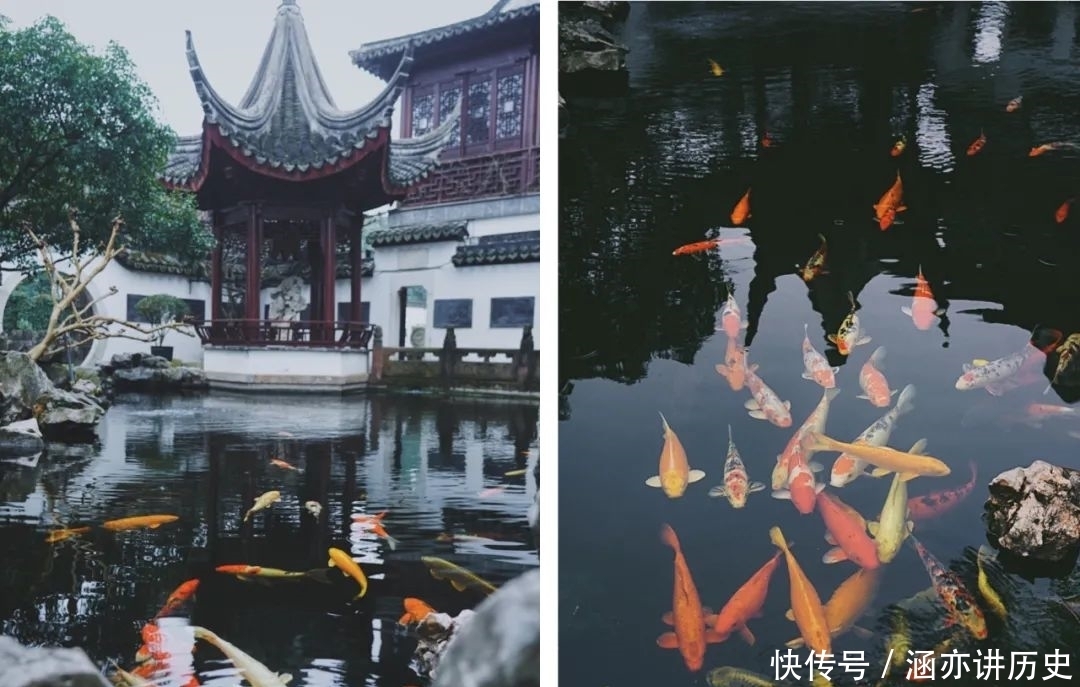 朱家角安麓｜我居然在上海远郊摸到了宫里的宝贝