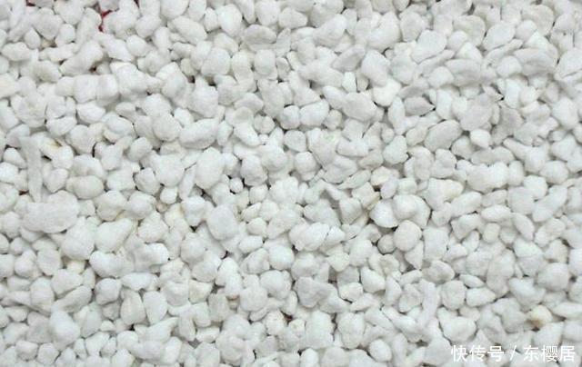 多肉养不好，看这里，掌握这些配土方法，幼苗和老桩都能养好