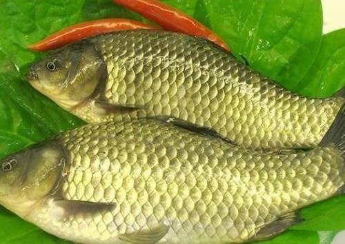 喜欢吃鱼的人注意：这“3种鱼”可能含有甲醛，平时尽量不要吃