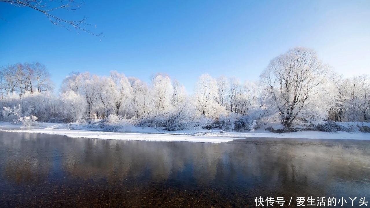 开启|加格达奇十里画廊开启冬日之约