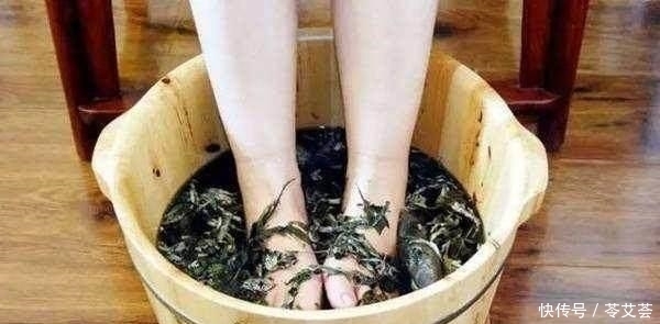 农村有种草浑身都是宝,能平喘止咳,还可安胎抗过敏