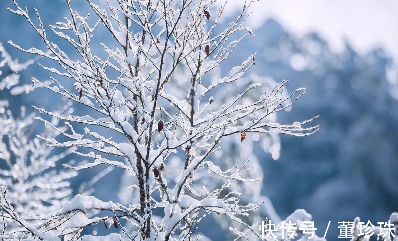 北风#小雪时节话小雪，几首小雪之诗，感受诗人对雪的喜爱