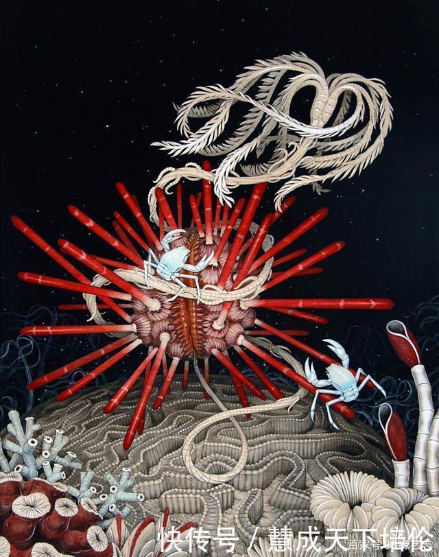 感恩|博齐奇的自然幻境异想天开的科学艺术,感恩生命的生物美学