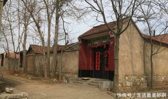 富贵牡丹|惊艳全村，这处自建四合院设计，堪称自建典范！