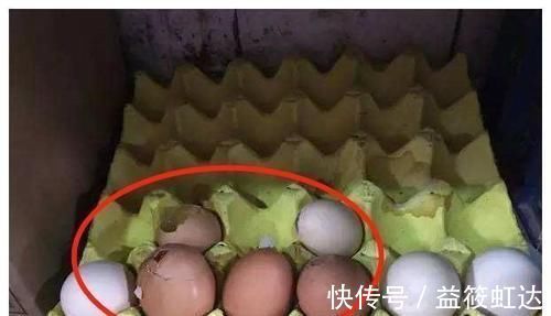 家长们|孩子在超市里打碎一盒鸡蛋,店员要求10倍赔偿,母亲的做法被称赞