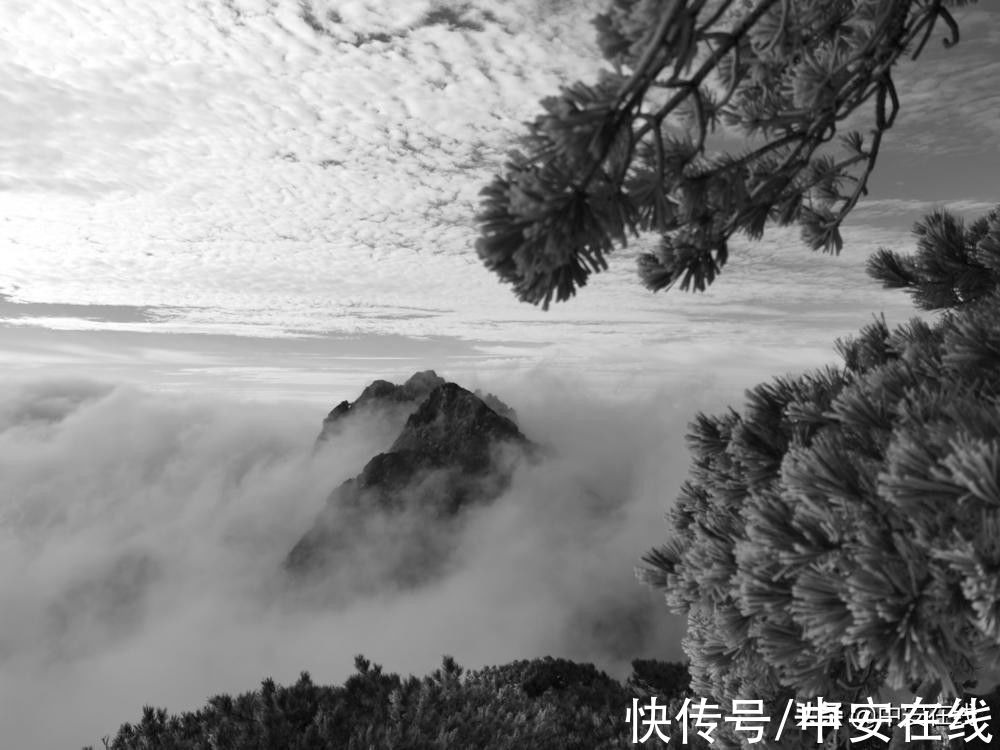 景观|雾凇、云海景观同现黄山风景区