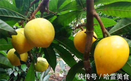 女性|女性到了中年多吃4种食物,补血滋阴,排出毒素,净化血液