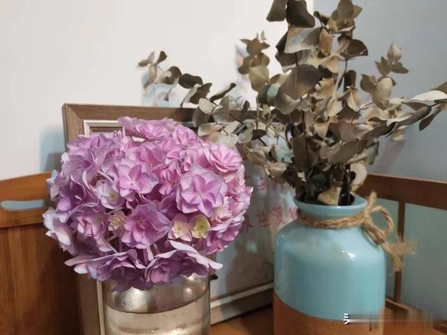 圆滚滚的绣球,瀑布般的花墙,这届花友也太会种花了吧