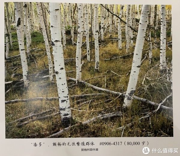  生命|图书馆猿の2020读书计划83：《世界上最老最老的生命》