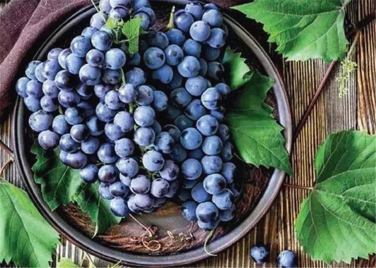 风湿痹痛|健康是吃出来的，3种食物天天吃，补充营养，提高免疫力！