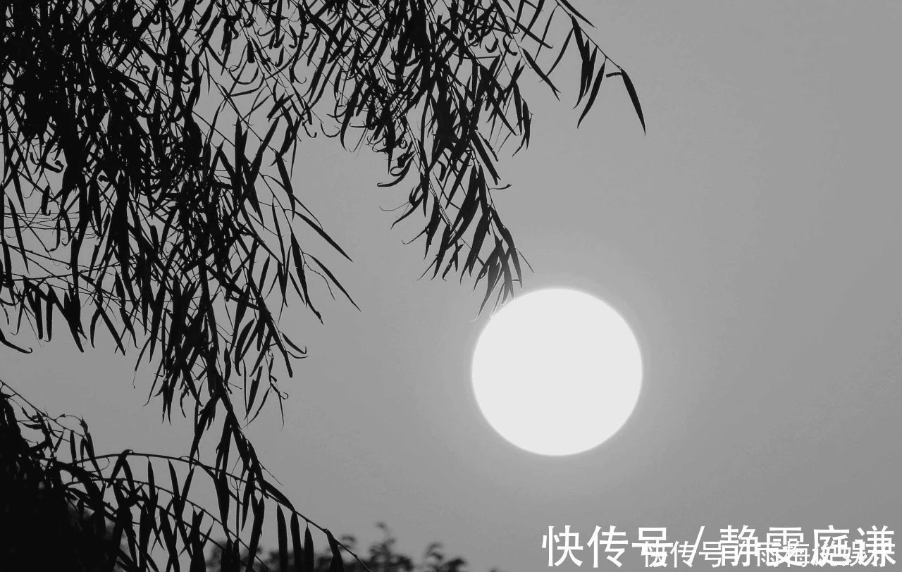 情人!柳永写给情人最著名的一首词,胜过世间最美的情书