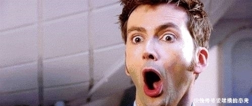 野蘑菇|警惕这道“菜”不要随便吃，最近已致多人死亡