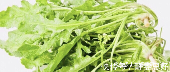 治病|女性不想掉头发,多食此“治病菜”,防妇科病,防宫寒,滋润肌肤