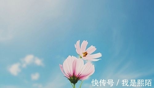 生肖|9月18日开始，三生肖运势大涨，好运连连，财源广进