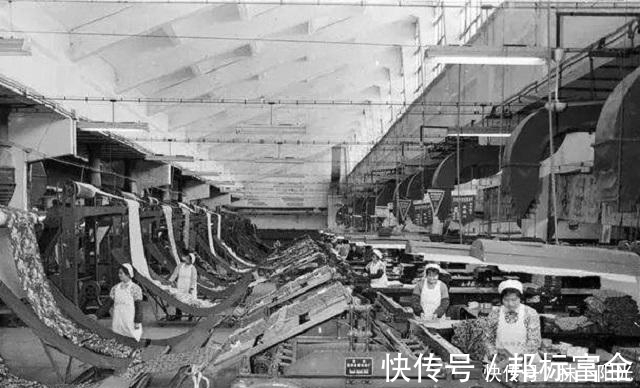 陈德军|陈小英：申通快递创始人，146亿卖给马云后，又靠雨伞赚上百亿