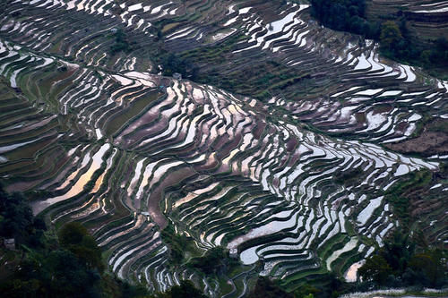 元阳坝达梯田景区，最佳日落观景点，可惜运气差了一点点