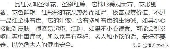 这六种花都是“毒花”,家里有老人、小孩、孕妇的,千万要慎养!
