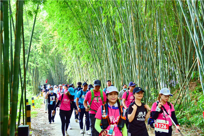 乡村|肇庆广宁依托竹海秀水规划出百公里徒步线，千名驴友首行体验