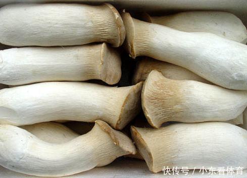买杏鲍菇，选粗的还是细的行家参考这两招，买到就是赚到