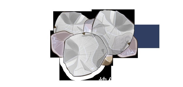 神经元|吃鱼时,哪些部位最营养,哪些部位毒性强?弄懂后,才知道怎么吃