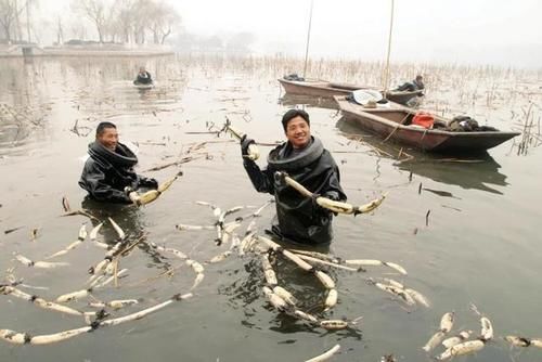  济南|舌尖上的乡愁——“大菜”济南府