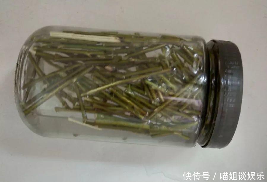 它是天然“生根剂”,给花浇一点,根系壮猛发芽!