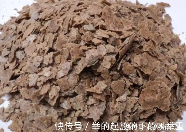 虎皮兰施什么肥2种东西丢盆里,一年不用施肥,叶厚油绿新芽多