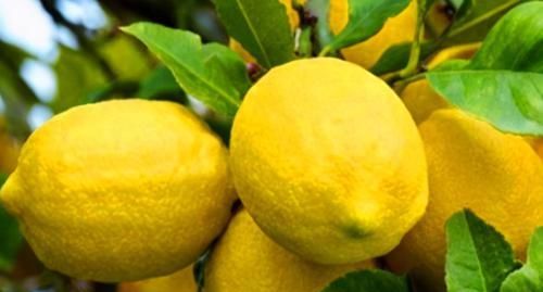 中年|女人养肝就是抗衰老，3种食物，田边疯长，养肝护肝，肝好人年轻