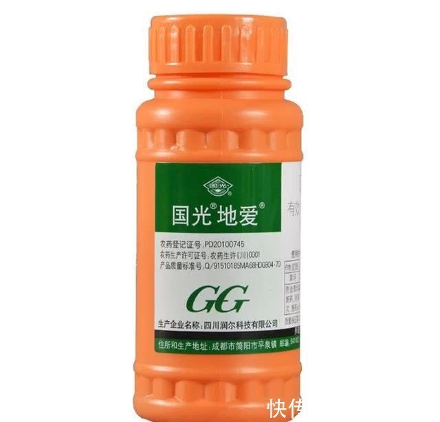 进入五月,蟹爪兰要赶紧做这三点,今年才能开爆盆