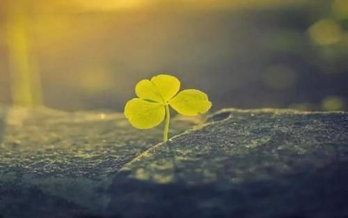 淋巴结|明明肿瘤切除得很干净了,为什么还会复发抗癌没那么简单