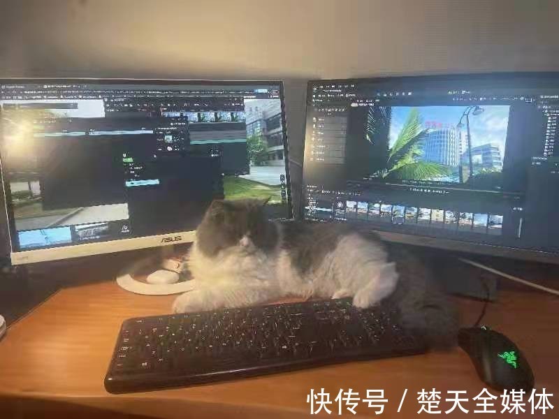 母校|“元宇宙”作品来了!武汉一高校毕业生用动画完美复刻母校