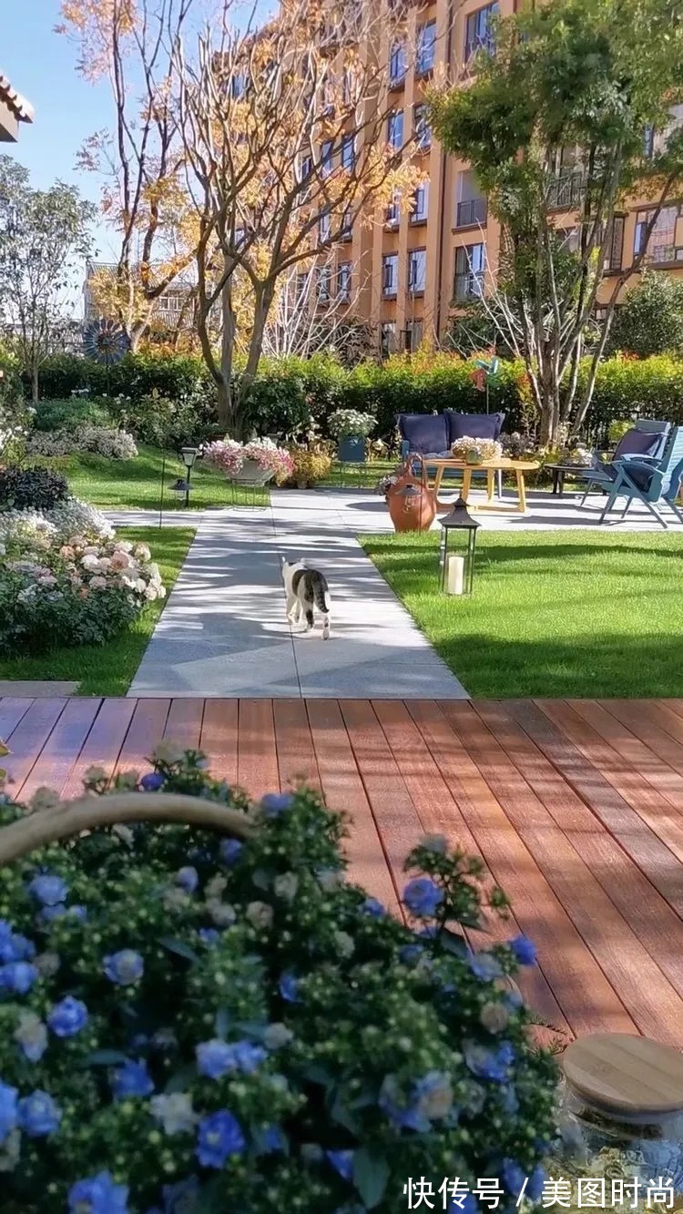 下午茶|一楼430㎡大院子，用1年半建成花园，网友：你这是建了个公园吧？