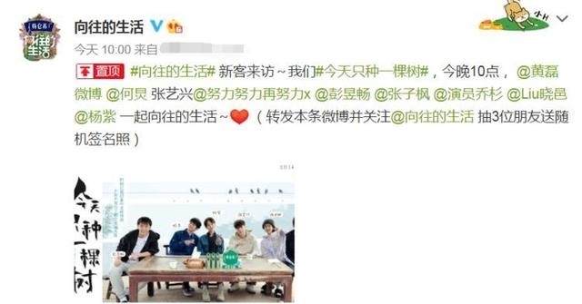 特殊待遇|“向往5”新全员海报，杨紫享有C位待遇，与张艺兴的距离成焦点